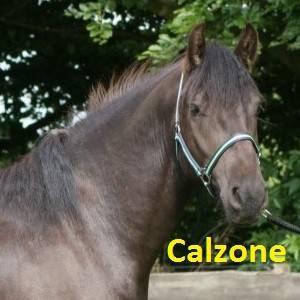 Calzone klein